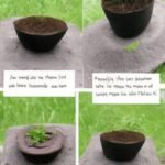 How-to-Make-Peat-Pots-150x150.jpg